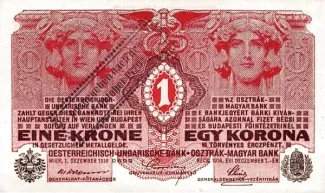 Austria 1 Kronen, 1920 P-41 obverse