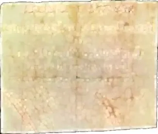 Brazil 37.5 Réis - 1 Vintém of gold, 1808 reverse