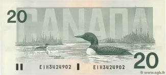 Canada 20 Dollars, 1991 reverse