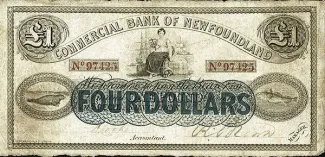 Canadian provinces 1 Pound, 1867-1884 obverse