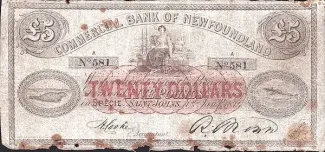 Canadian provinces 5 Pounds, 1874 obverse
