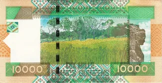 Guinea 10.000 Francs, 2007-2008 reverse