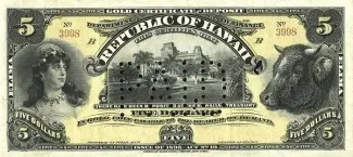 Hawaii 5 Dollars, 1895