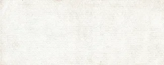 Russia - Civil war issues 25 Roubles, 1919 reverse