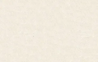 Russia - Civil war issues 50 Roubles, 1920 reverse