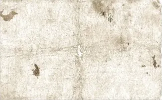 Suriname 1 Gulden, 1920 reverse