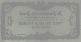 Suriname 200 Gulden, 1865-1909 reverse