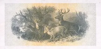 Tatarstan 1.000 Roubles, 1993-1995 reverse