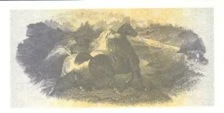 Tatarstan 500 Roubles, 1993-1995 reverse