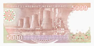Turkey 5.000 Lira, 1990 reverse
