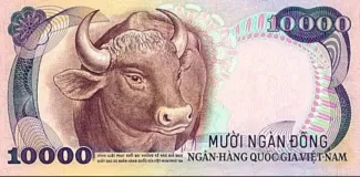 South Vietnam 10,000 Dong, 1975 P-36 reverse